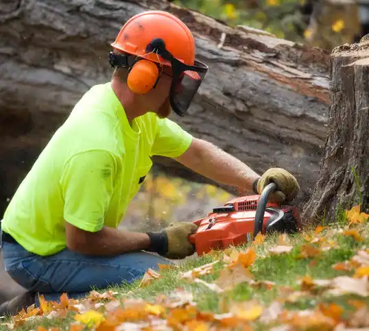 tree services Lennon